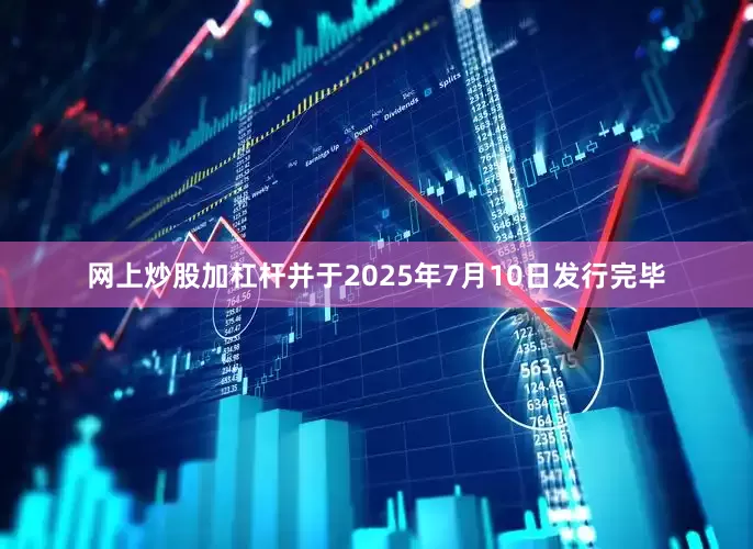 网上炒股加杠杆并于2025年7月10日发行完毕