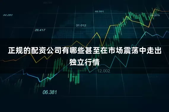 正规的配资公司有哪些甚至在市场震荡中走出独立行情